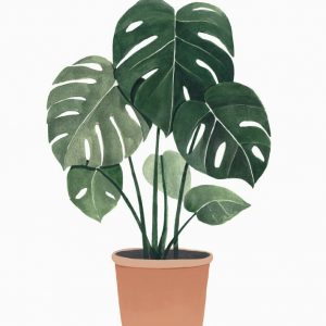 1847d9fa9d7327d67c948b343dd777d3